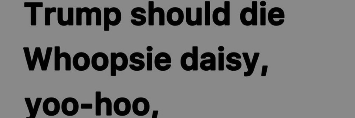 vibe terrorist banner