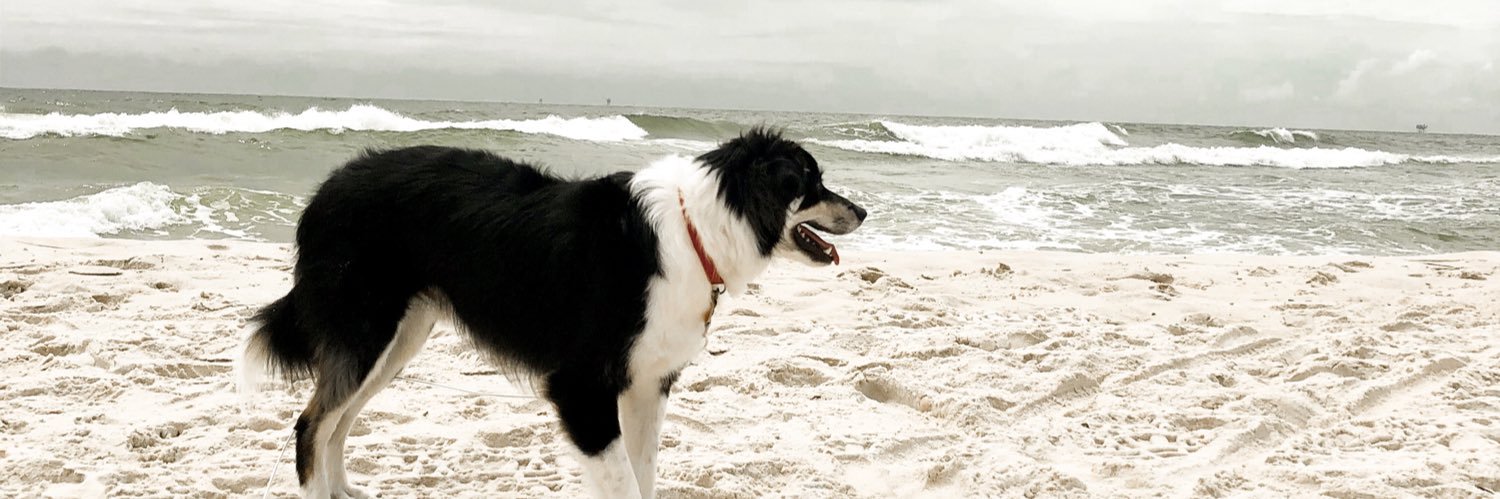 heckyeahkelly_'s profile banner image