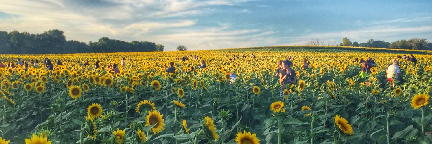 debjohanning's profile banner image