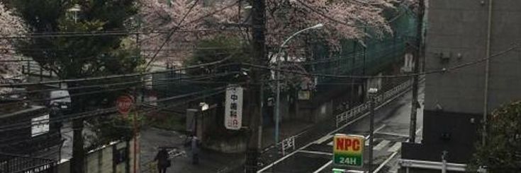 O411OO's profile banner image
