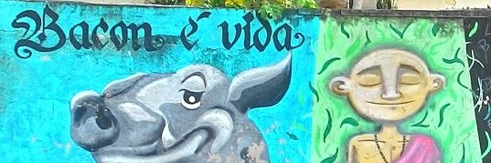 eduardobaralhao's profile banner image