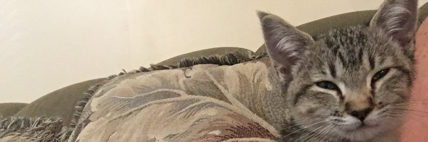 Lychordia's profile banner image