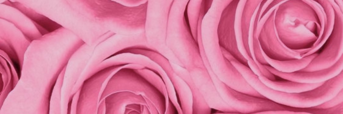 _rachelrae's profile banner image