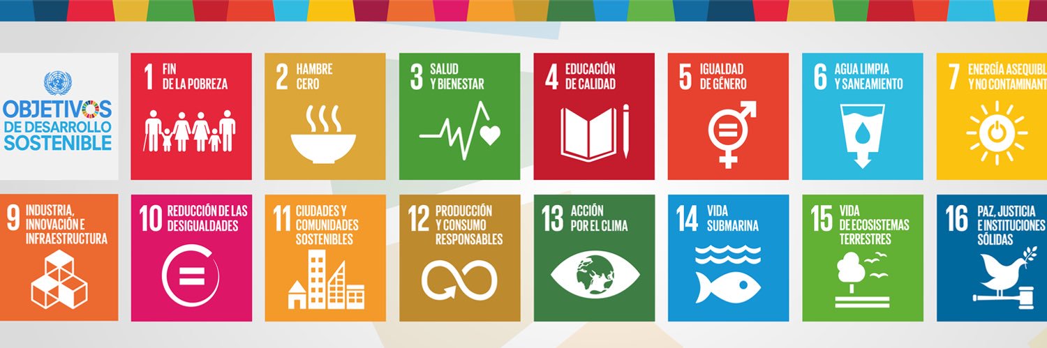 Jessica Braver banner