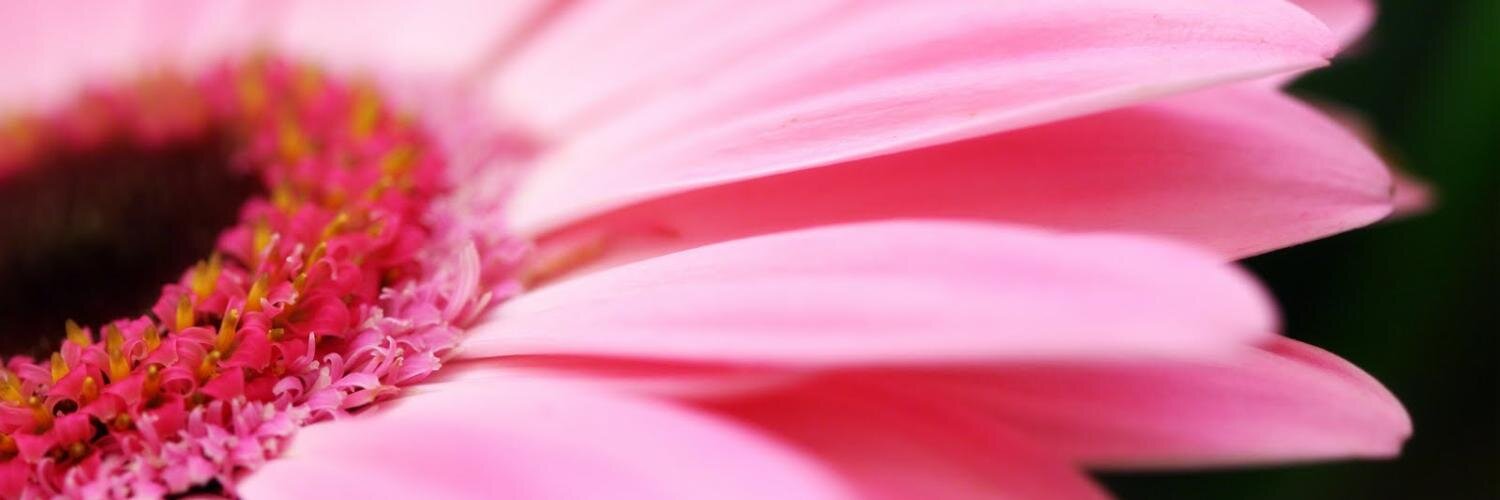 alejacconde's profile banner image