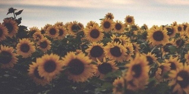 evonduzco's profile banner image