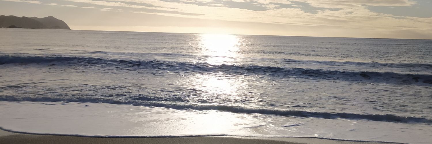 Cynthia_31's profile banner image