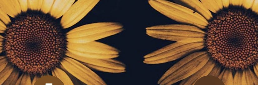 Anacorpus16's profile banner image