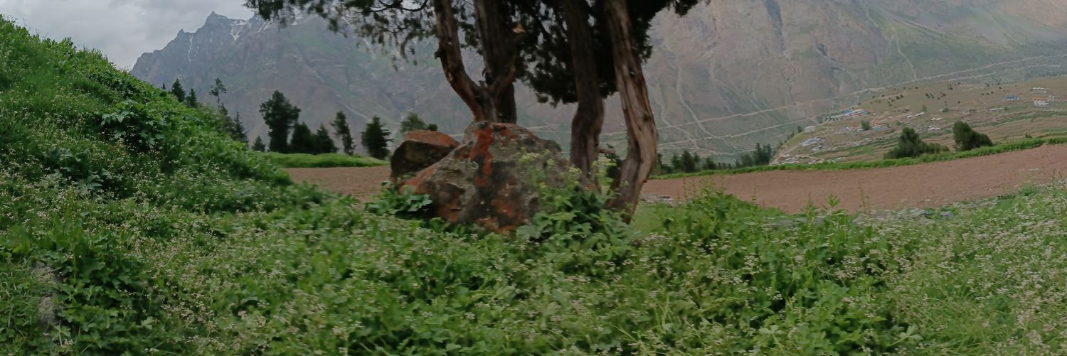 aahan1's profile banner image