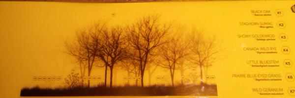 lemonyhams Profile Banner