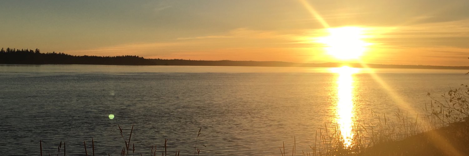 ChelseyH97's profile banner image