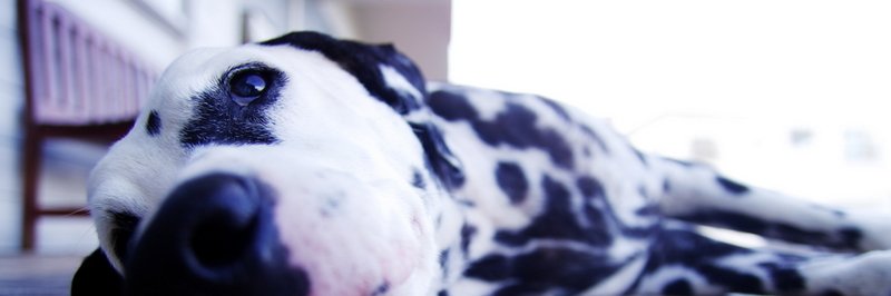 boss_5th's profile banner image