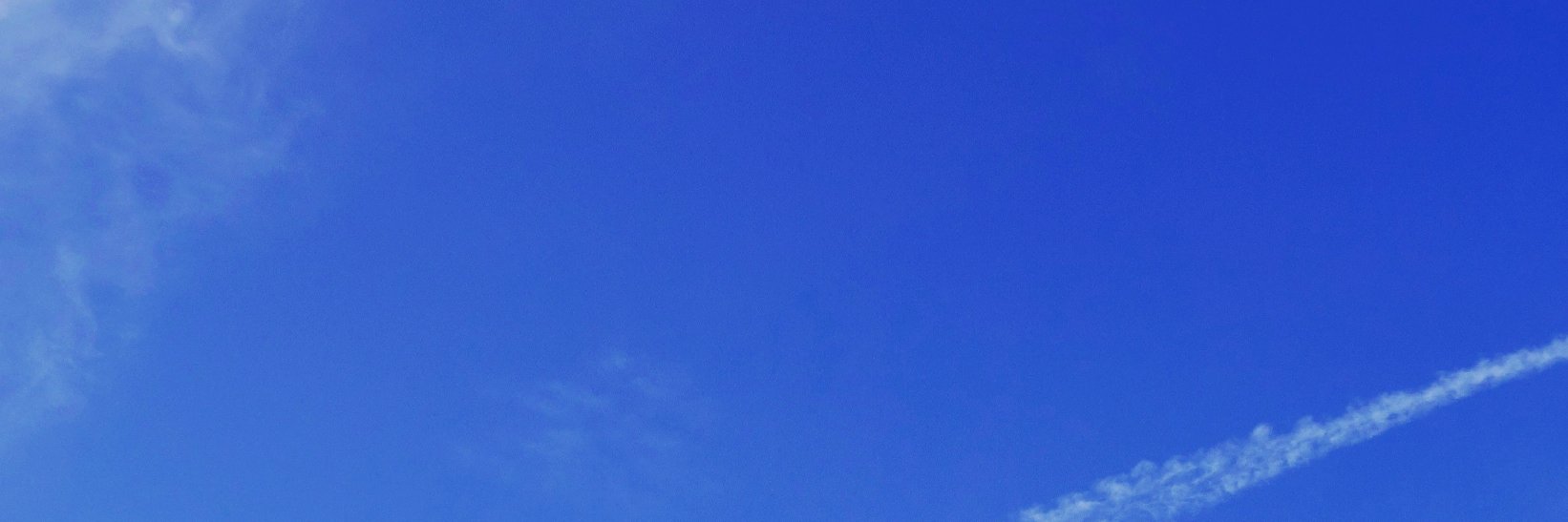 城伊景季 banner