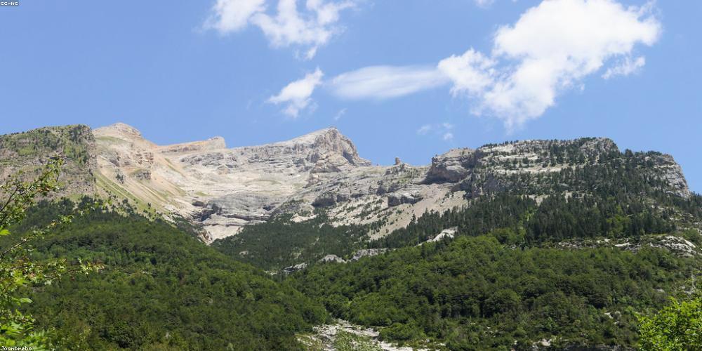 STRAFEHL's profile banner image