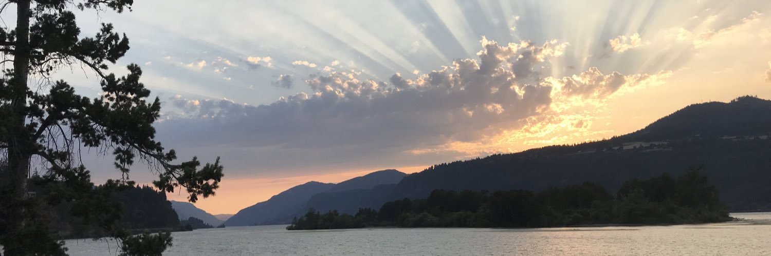 🇺🇦 DixieChick 🌻 banner