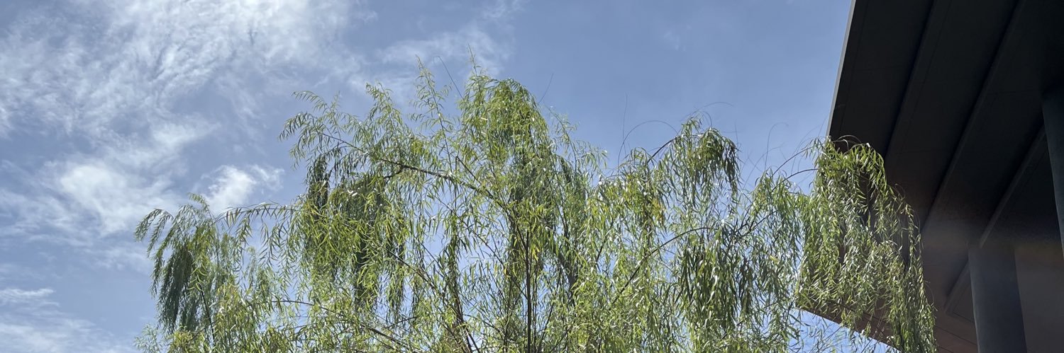 Rima Oktaviana banner