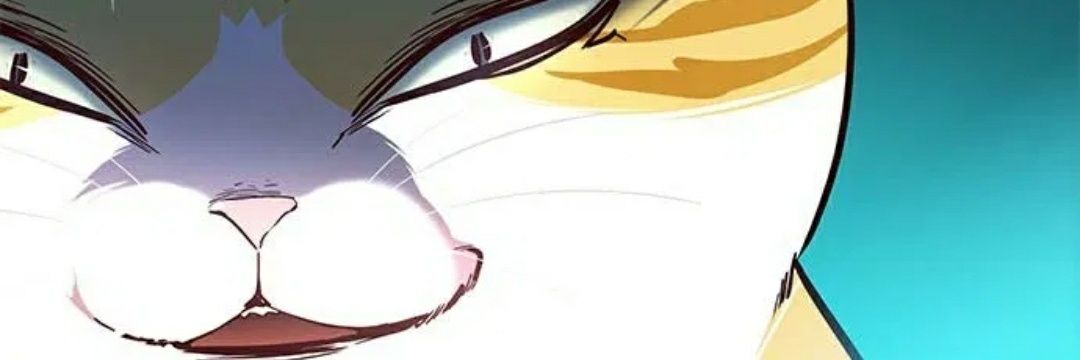 sepriis's profile banner image