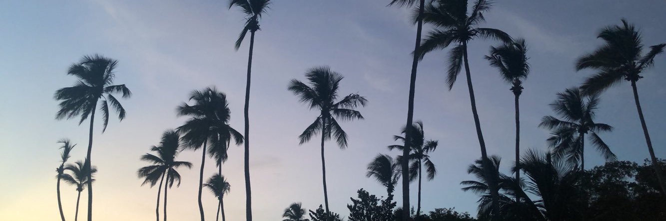 Nicole_Caley's profile banner image