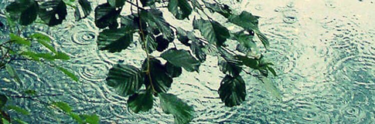 tulkumok's profile banner image