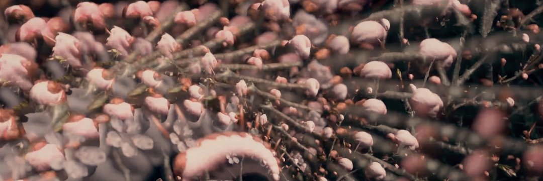 Süleyman Yılmaz banner