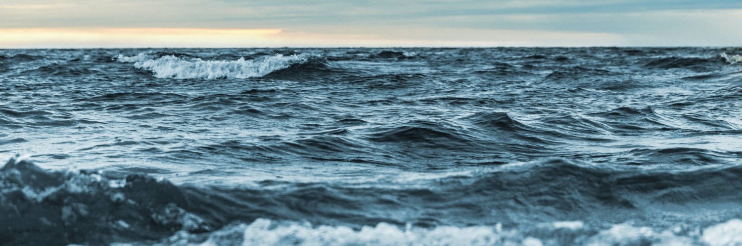 Derya Gürer 🌊🌏🔬🧲 banner