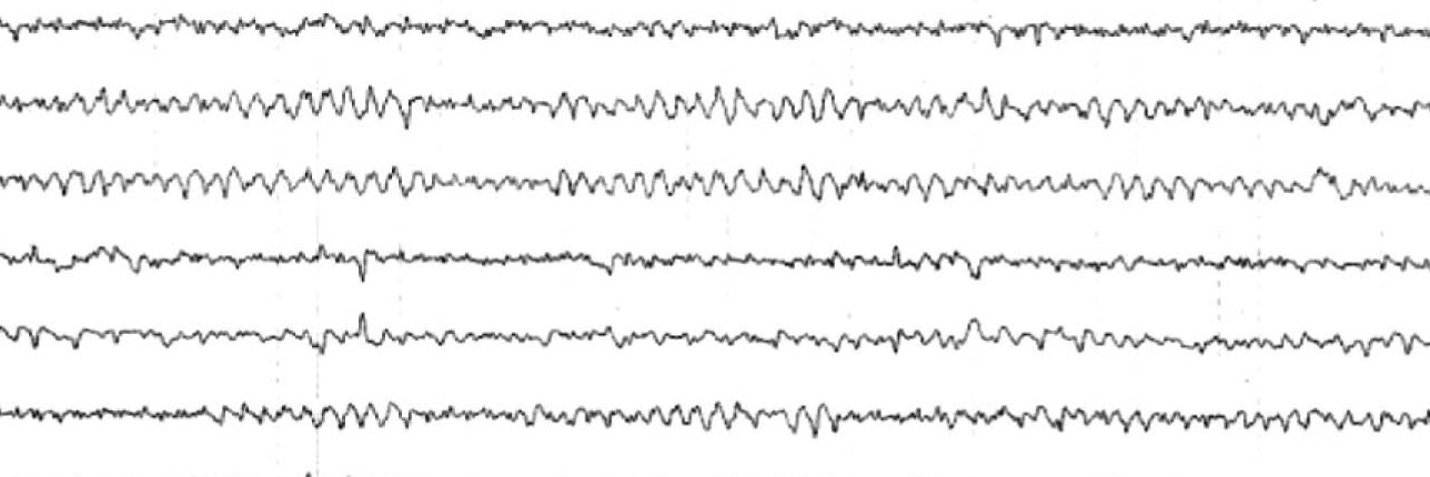 Dr Shekeeb Mohammad banner