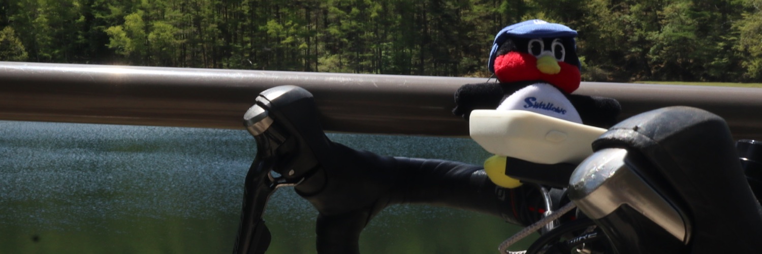 shimach's profile banner image