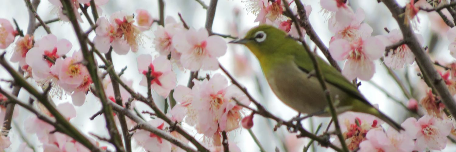 kzy2's profile banner image