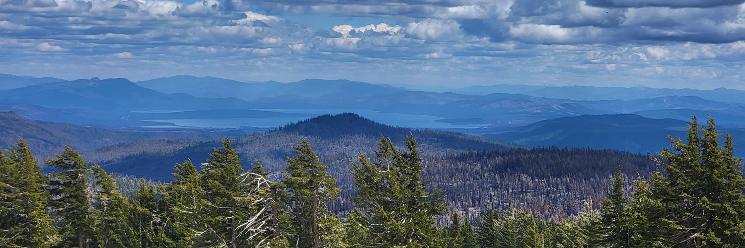 Terence Watson banner