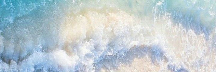 _Waddles's profile banner image