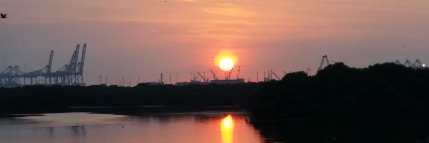 ZAINABESSAJEE's profile banner image