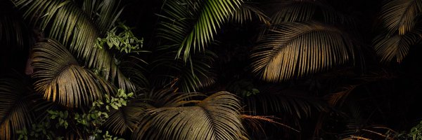 bryanrcosta Profile Banner