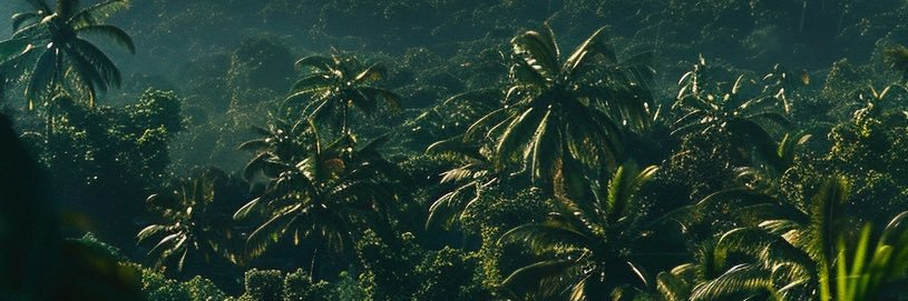 FrenchAlert🇫🇷 banner