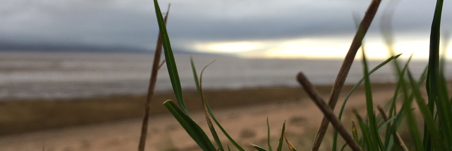ChrisDCallaway's profile banner image