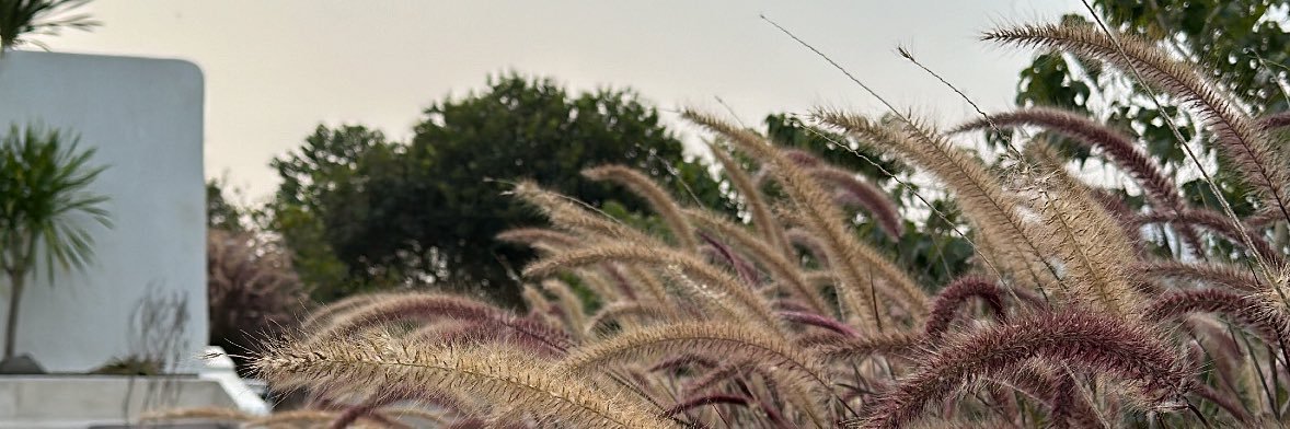 tiredsashimi's profile banner image