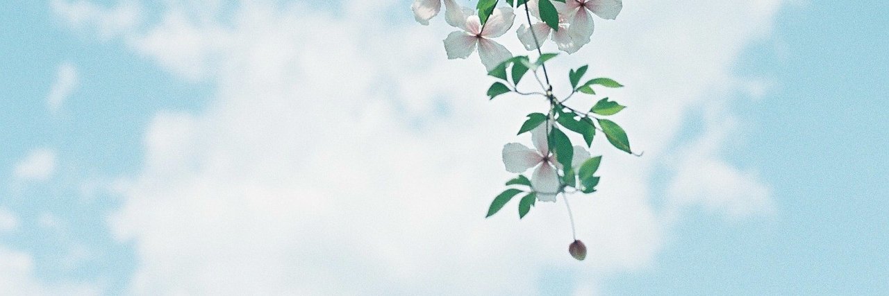 rineema's profile banner image