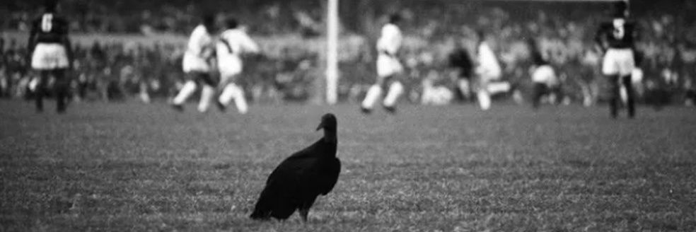 Urubu Bolado banner