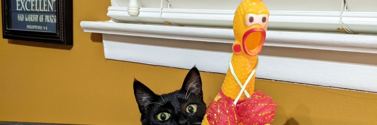 gnomewar's profile banner image