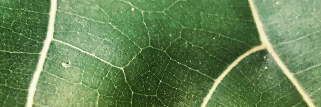 RealJeffTidwell's profile banner image