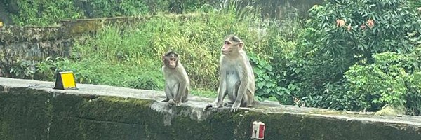 RonDevid Profile Banner