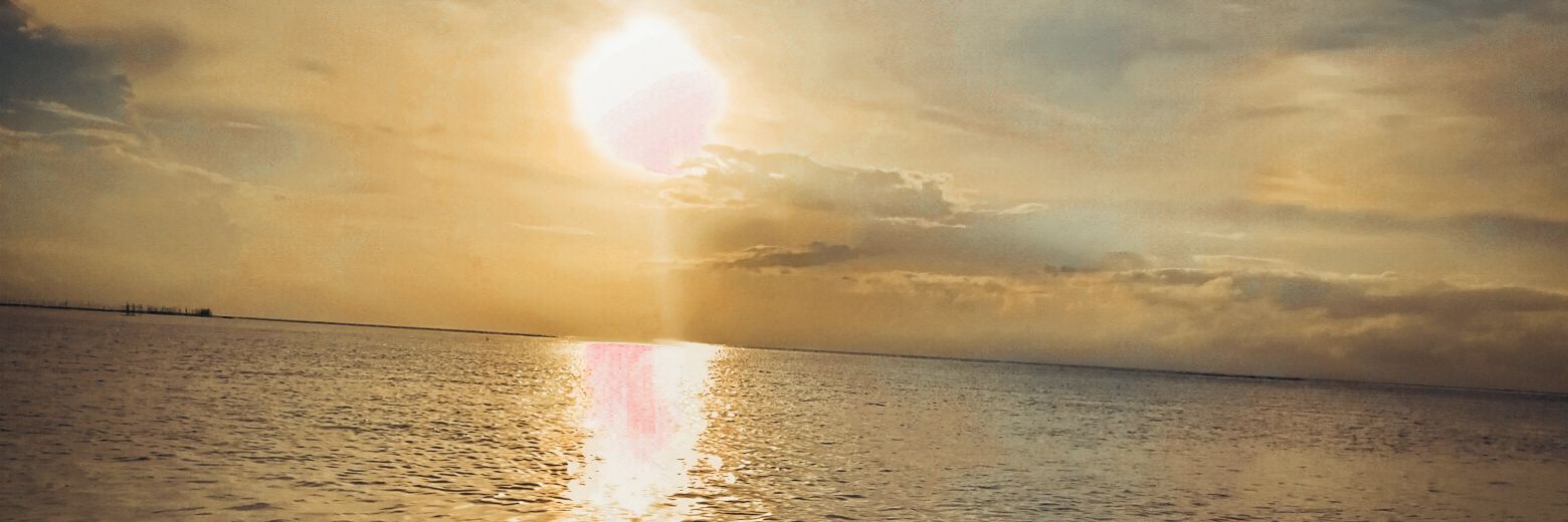 badgaljoyt's profile banner image