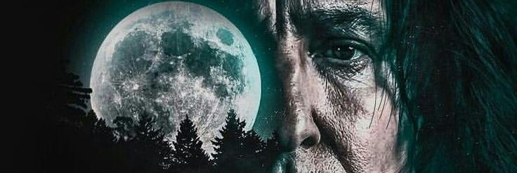 BeccaDipoti's profile banner image