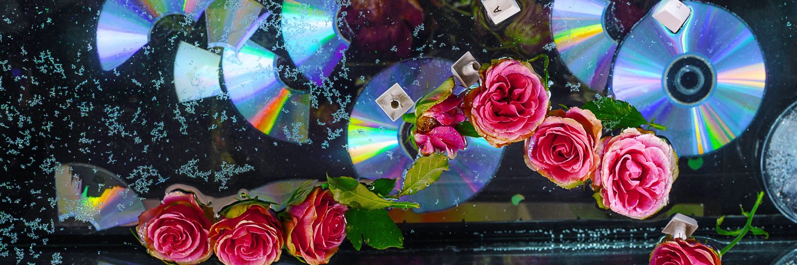 ᴘɪɴɴᴇᴅ ʙʏ ᴄᴏᴍᴍᴜɴɪᴛʏ ᴍᴏᴅᴇʀᴀᴛᴏʀꜱ banner