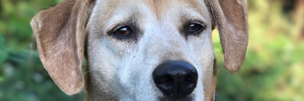 drewbinette's profile banner image