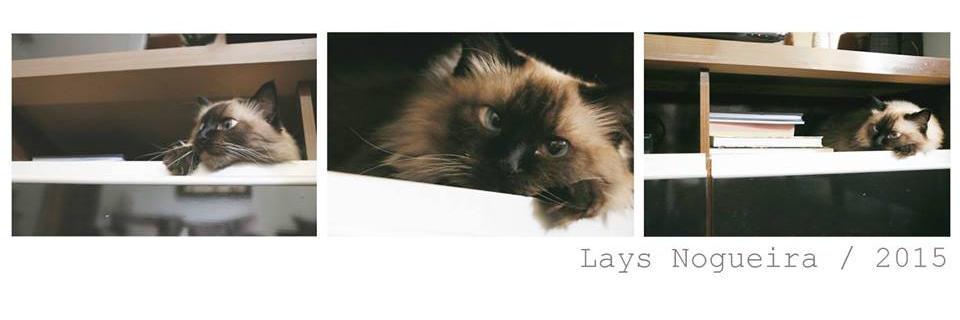 lemanuella's profile banner image