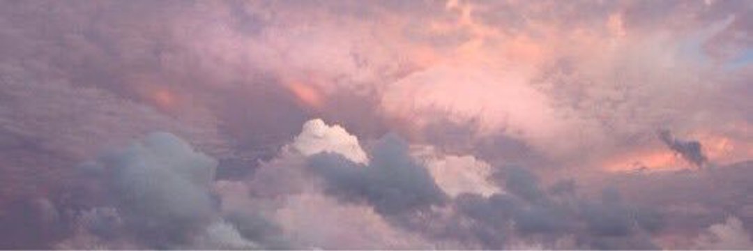 vi banner