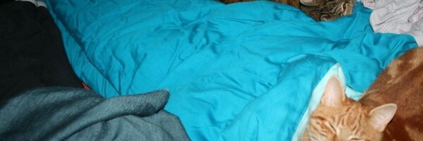 Anthea Profile Banner