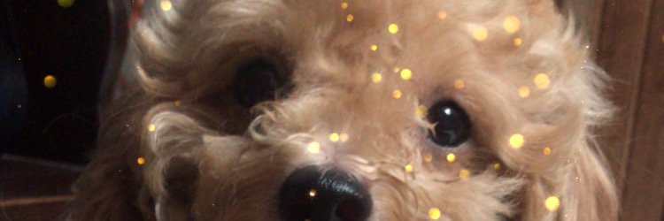 Harunaika's profile banner image