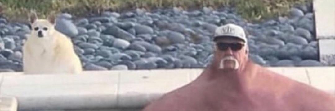 BigBomko's profile banner image