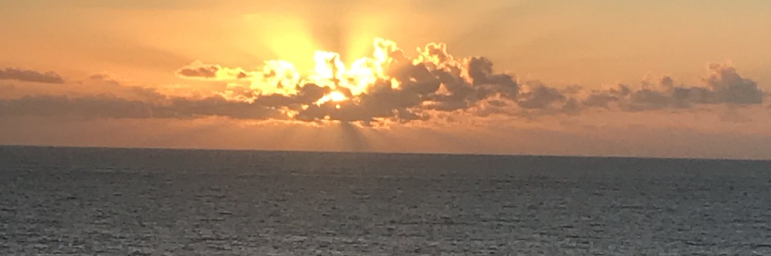 abellendier9's profile banner image